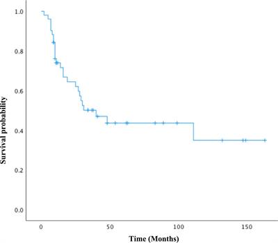 Clinicopathological and molecular features of tubo-ovarian carcinosarcomas: a series of 51 cases